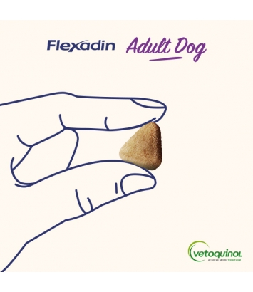 Flexadin Adult Dog 60 kęsów