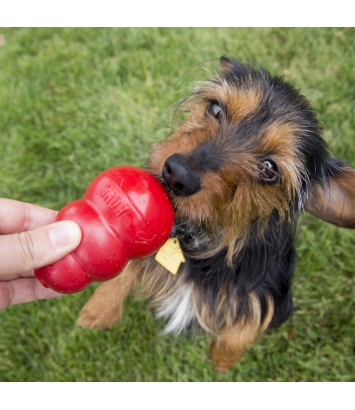 Easy Treat Peanut Butter 226g Kong