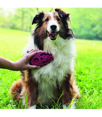 ZoomGroom Raspberry L Kong