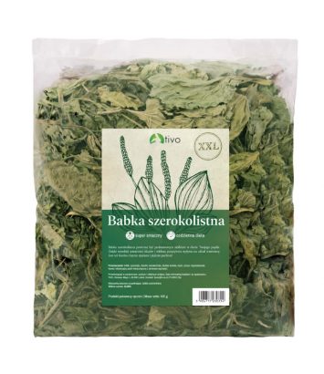 Babka szerokolistna XXL 400g