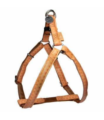 Szelki Mac Leather 15mm