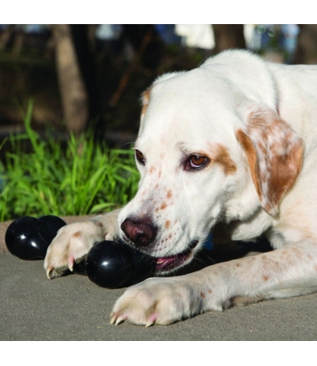 Extreme Goodie Bone M Kong