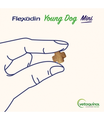 Flexadin Young Dog Mini 60 kęsów