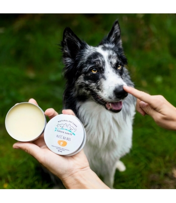 Green Sante Naturalna Maść na nos 60ml