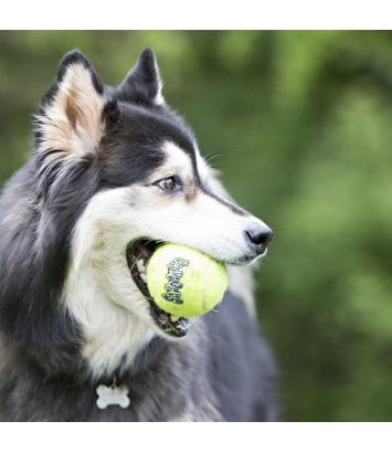 SqueakAir Ball S 3szt. Kong