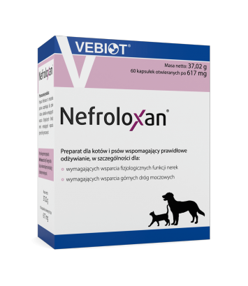 Nefroloxan 60 kapsułek