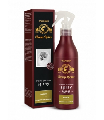 Champ-Richer Spray zwiększający objętość 250ml