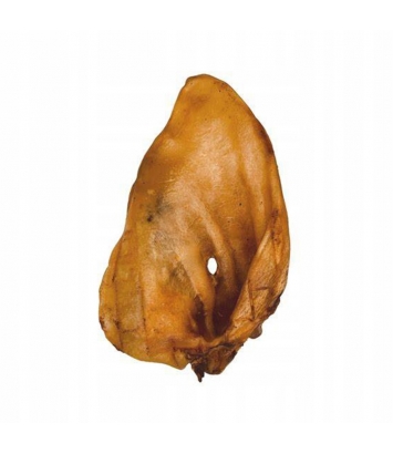 Ucho wieprzowe M 1szt