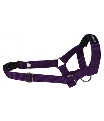 Halter Basic XS