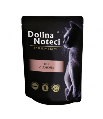 Dolina Noteci dla kota Filet z łososia 85g