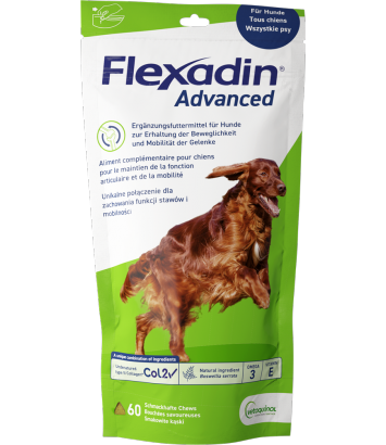 Flexadin Advance 60 kąsków - 2 opakowania