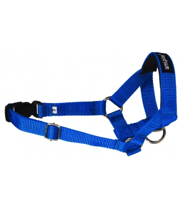 Halter Basic L