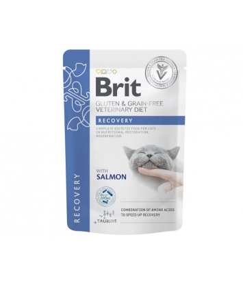 Brit Veterinary Diets Cat GF Recovery 85g