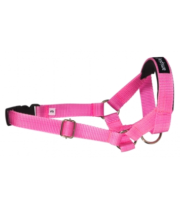 Halter Basic XS