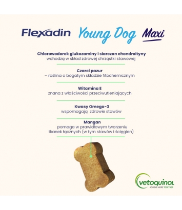 Flexadin Young Dog Maxi 60 kęsów