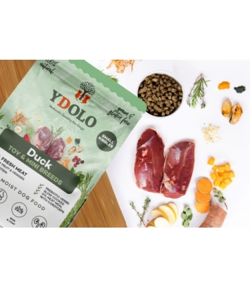 Ydolo Healthy Pure AD Mini 700g Duck