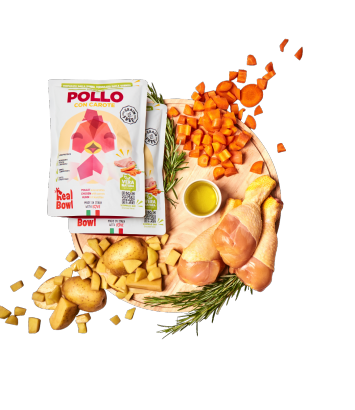 Real Bowl Kurczak saszetka 700g