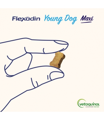 Flexadin Young Dog Maxi 60 kęsów