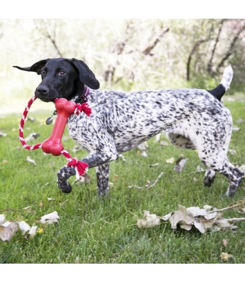 Goodie Bone with Rope M Kong