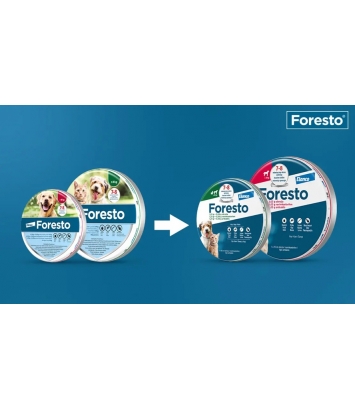 Obroża Foresto dla małych psów i kotów 38cm