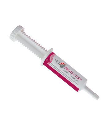 Vet Protector Gastro-Maślan 60ml