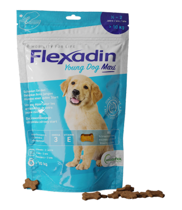 Flexadin Young Dog Maxi 60 kęsów