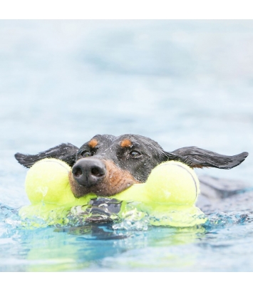 Airdog Squeaker Bone S Kong