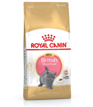 Royal Canin Kitten British Shorthair 400g