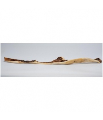 Skóra wołowa miodowa 50cm