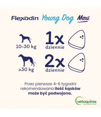Flexadin Young Dog Maxi 60 kęsów