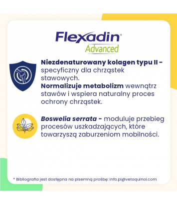 Flexadin Advance 60 kąsków