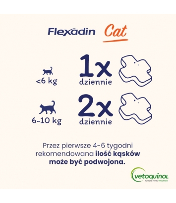 Flexadin Cat 60 kęsów