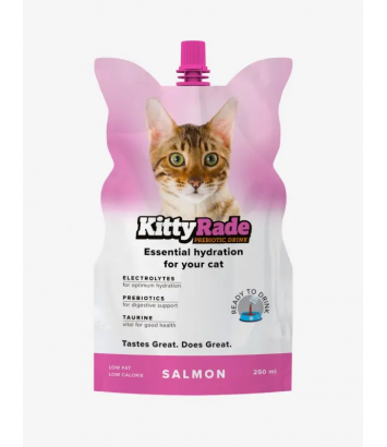 KittyRade napój izotoniczny Łosoś 250ml