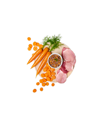 Real Bowl Wieprzowina saszetka 80g