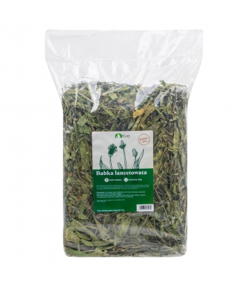 Tivo Babka Lancetowata 600g