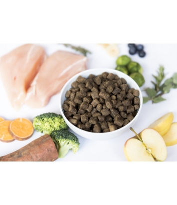 Ydolo Healthy Pure Chicken 10kg