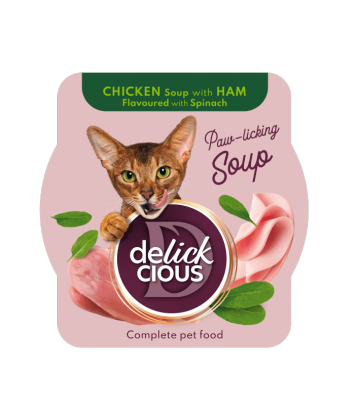 Delickcious Soup Zupa z kurczaka z szynką i szpinakiem 80g
