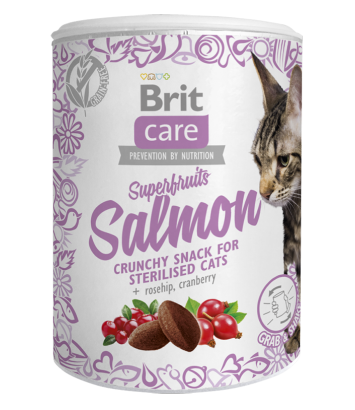 Brit Care Cat Snack Superfruits Salmon 100g