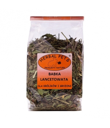 Babka lancetowata 70g