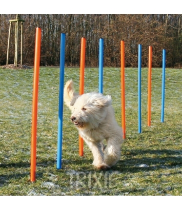 Slalom Agility - 115x3cm