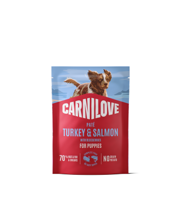 Carnilove Dog saszetka 300 g Puppy indyk, łosoś