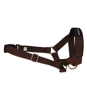 Halter Basic XS