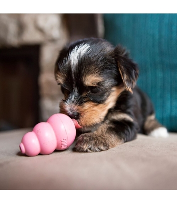 Kong Puppy XS