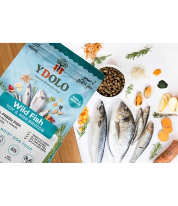 Ydolo Healthy Pure AD Mini 700g Wild Fish