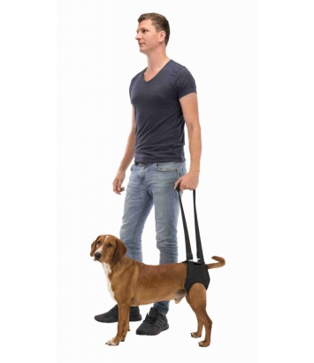 Uprząż rehabilitacyjna L-XL