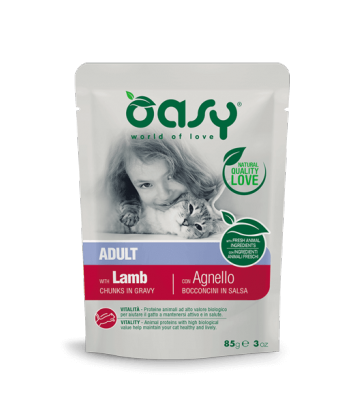 Oasy Cat Adult Chunks in Gravy 85g