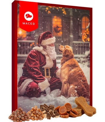 Kalendarz adwentowy dla psa