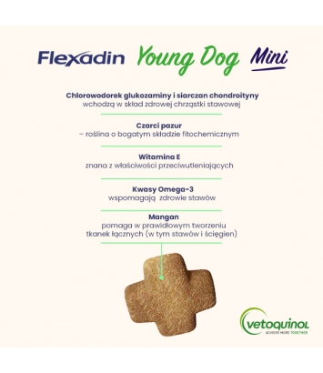 Flexadin Young Dog Mini 60 kęsów
