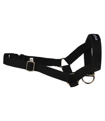 Halter Basic L