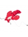 Wriggle shrimp 23cm
